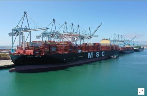 美國9月商品貿(mào)易逆差大幅縮窄，第三季創(chuàng)紀錄增長預期提振貿(mào)易前景